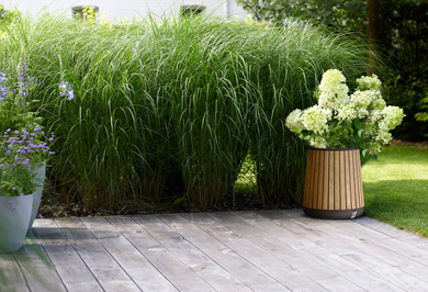 Deco Conic planter - KETER Lifestyle