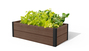 Maple Trough