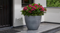 BETON ROUND XL