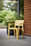 JULIE DINING CHAIR