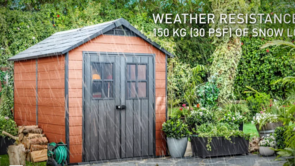 Newton Sheds