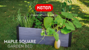 Maple square garden bed